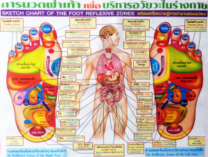 Thai reflexology chart